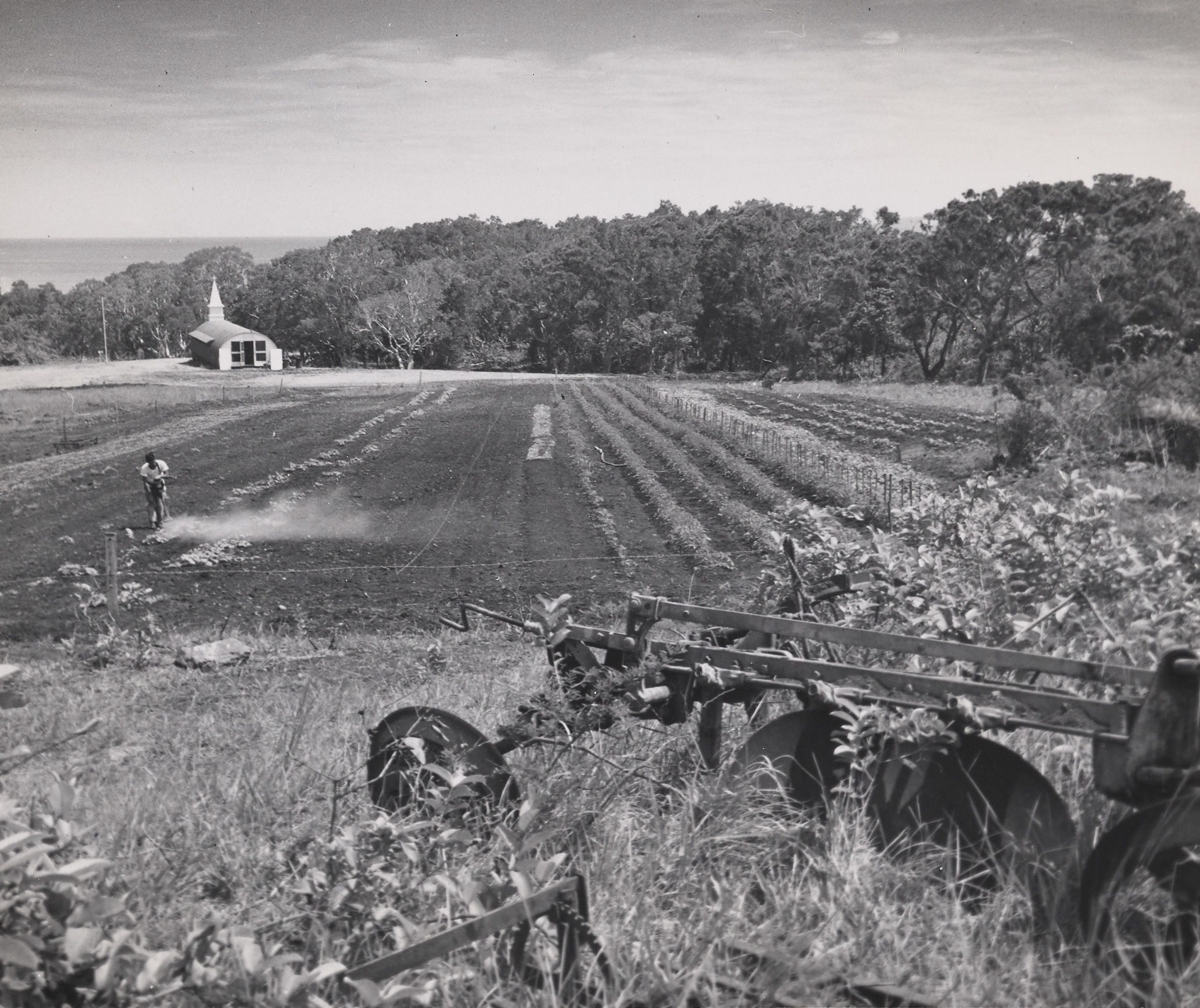 Victory garden in back of chapel in New Caledonia, 1944. The 78th Construction Battalion built this chapel and devised a system of wooden troughs for irrigating a victory garden.