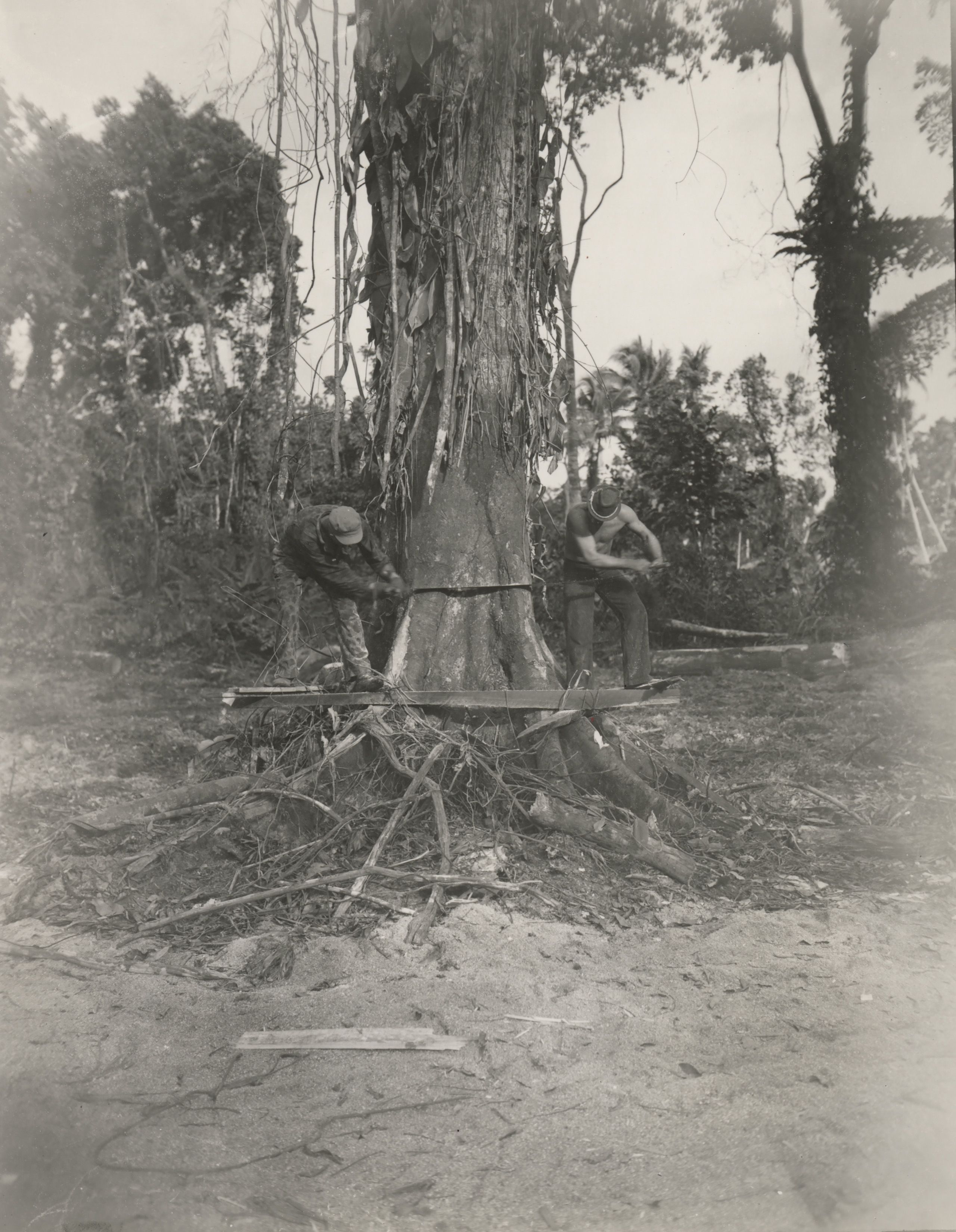 Mill crew in Manus, 1944. Many of the projects completed by the 78th Construction Battalion, from the building of docks to the construction of buildings, relied on the lumber procured by the mill crew.