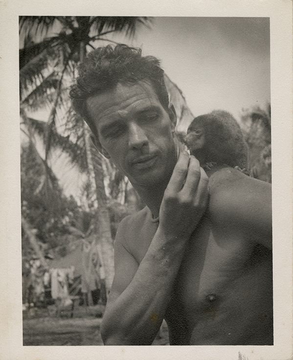 Black and white photograph of Ed Keegan feeding Moon Bear, 1944.